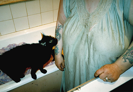 Fotografia Richard Billingham