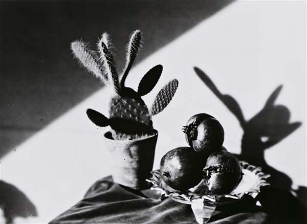 Joaquin Pla Janini - fotógrafo catalán