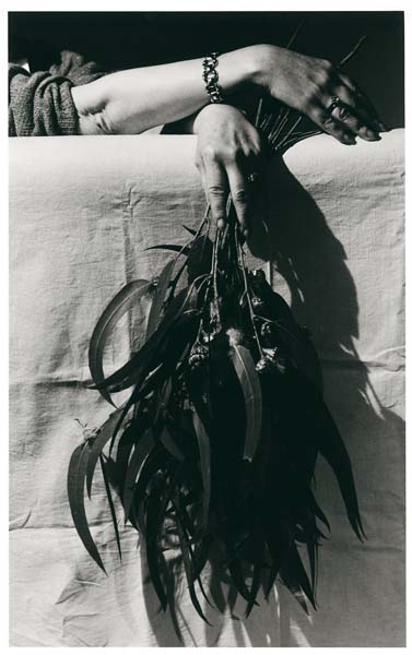 Joaquin Pla Janini - fotógrafo catalán