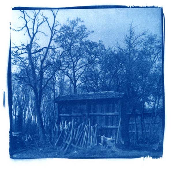 Técnica fotográfica cianotipo