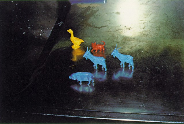 Fotografia William Eggleston