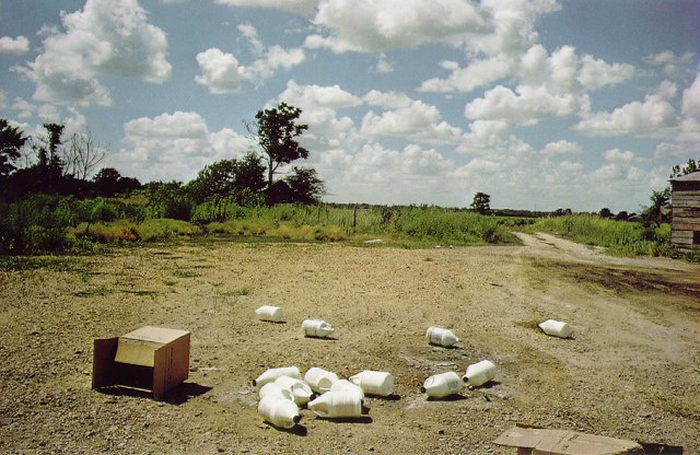 Fotografia William Eggleston